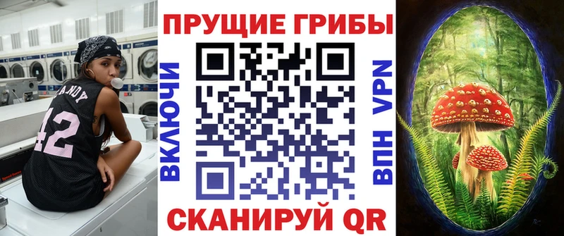 Псилоцибиновые грибы Psilocybine cubensis  кракен как войти  Муром  как найти закладки 