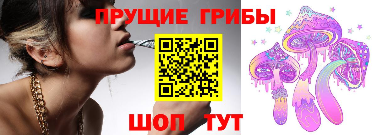 Псилоцибиновые грибы мицелий Муром